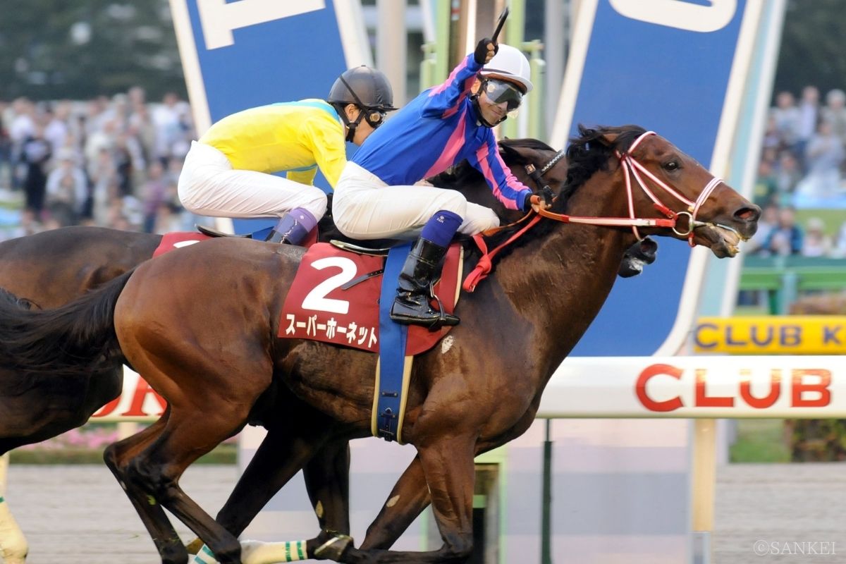 2008年毎日王冠を制したスーパーホーネット