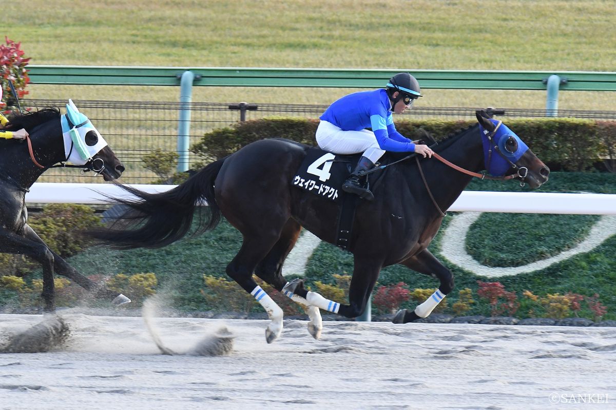 2025年霜月Sを制した時のウェイワードアクト