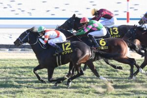 【シルクロードS・前走レビュー】元トラックマンが有力5頭を10段階採点！武豊騎手・ヤブサメの評価は？