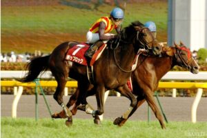 なぜG1に届かなかった？G2だけ勝った名馬（3）武豊騎手も絶賛！G1獲得もハナ差まで迫った実力馬
