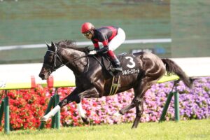 2025年リーディングサイアー急上昇ランキング【第5位】さすが未完の大器！種牡馬として大躍進