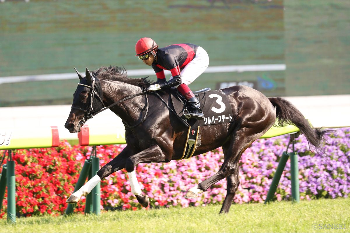 2017年オーストラリアTを制した時のシルバーステート