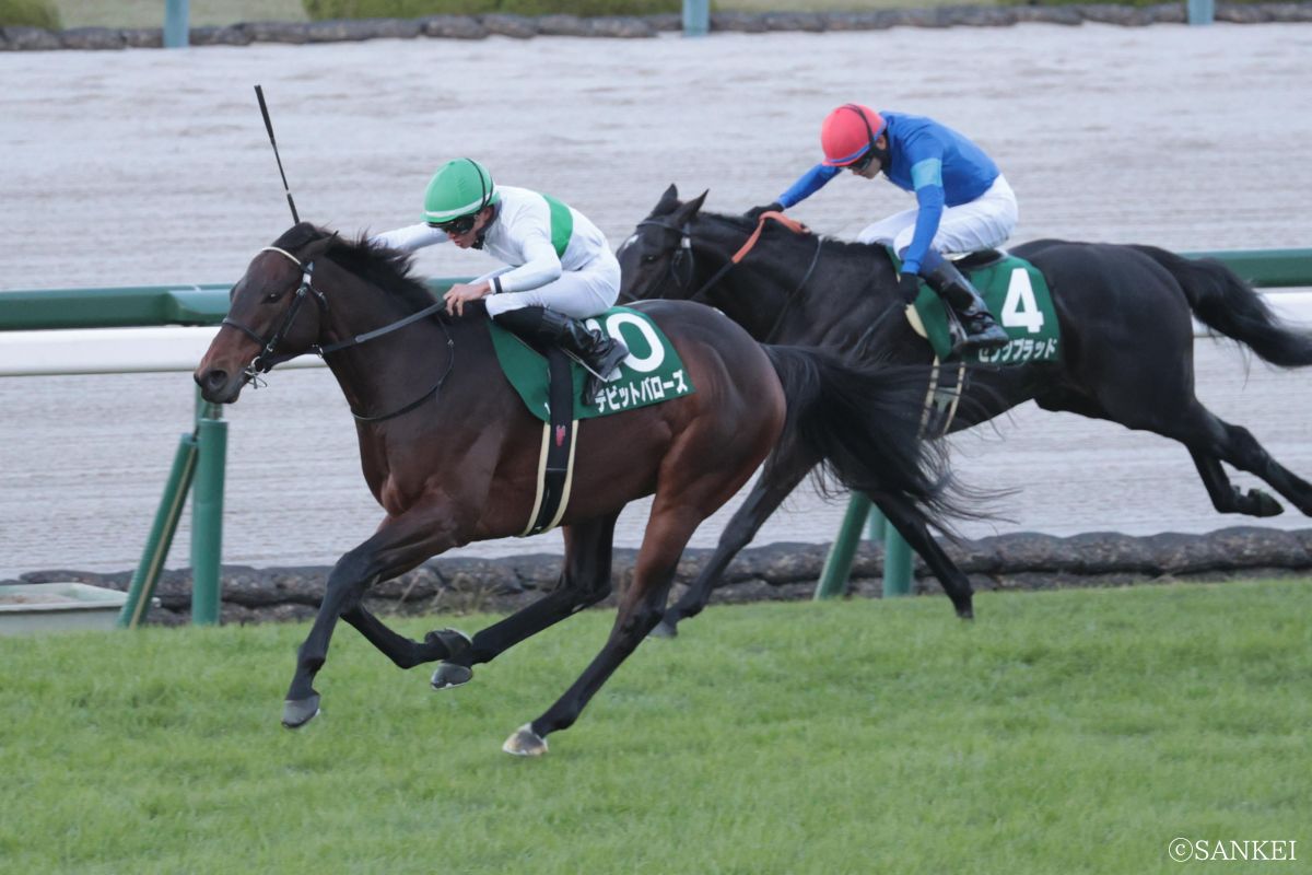 2025年鳴尾記念を制したデビットバローズ（写真左）、2着センツブラッド（写真右）