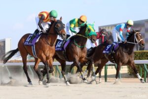 【フェブラリーS・敗戦の本質】1番人気ダブルハートボンドは、なぜ敗れたのか？上位3頭を10点満点で採点