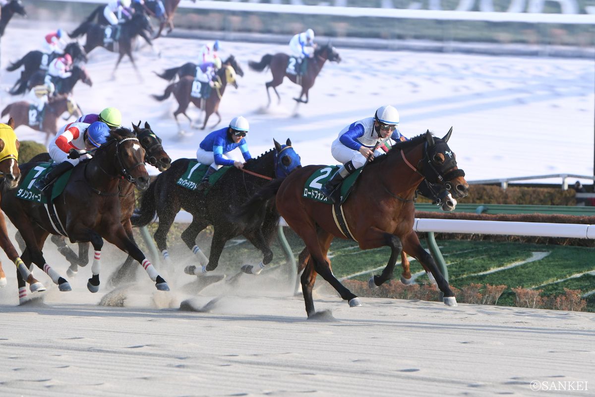 2026年根岸ステークスを制したロードフォンス