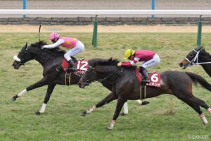 【京都記念・敗戦の本質】1番人気エリキングは、なぜ敗れたのか？注目の3頭を10点満点で検証