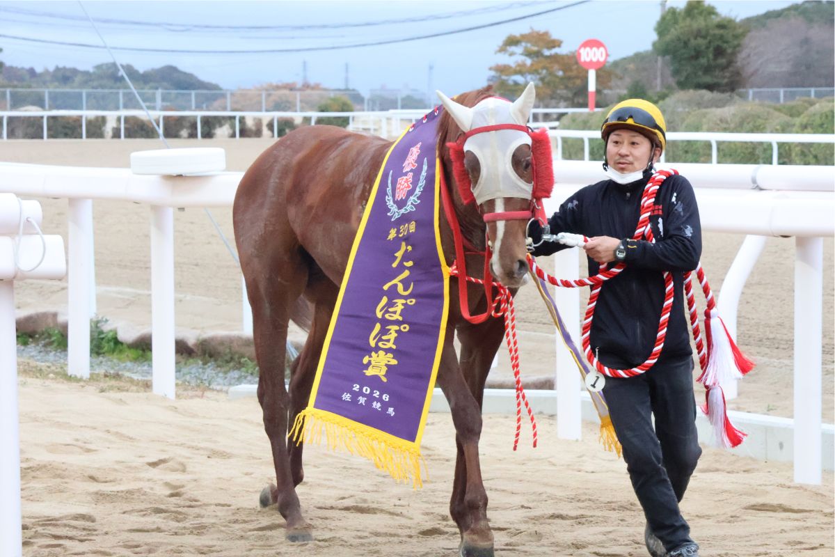 2026年たんぽぽ賞を制したアッシュアール②