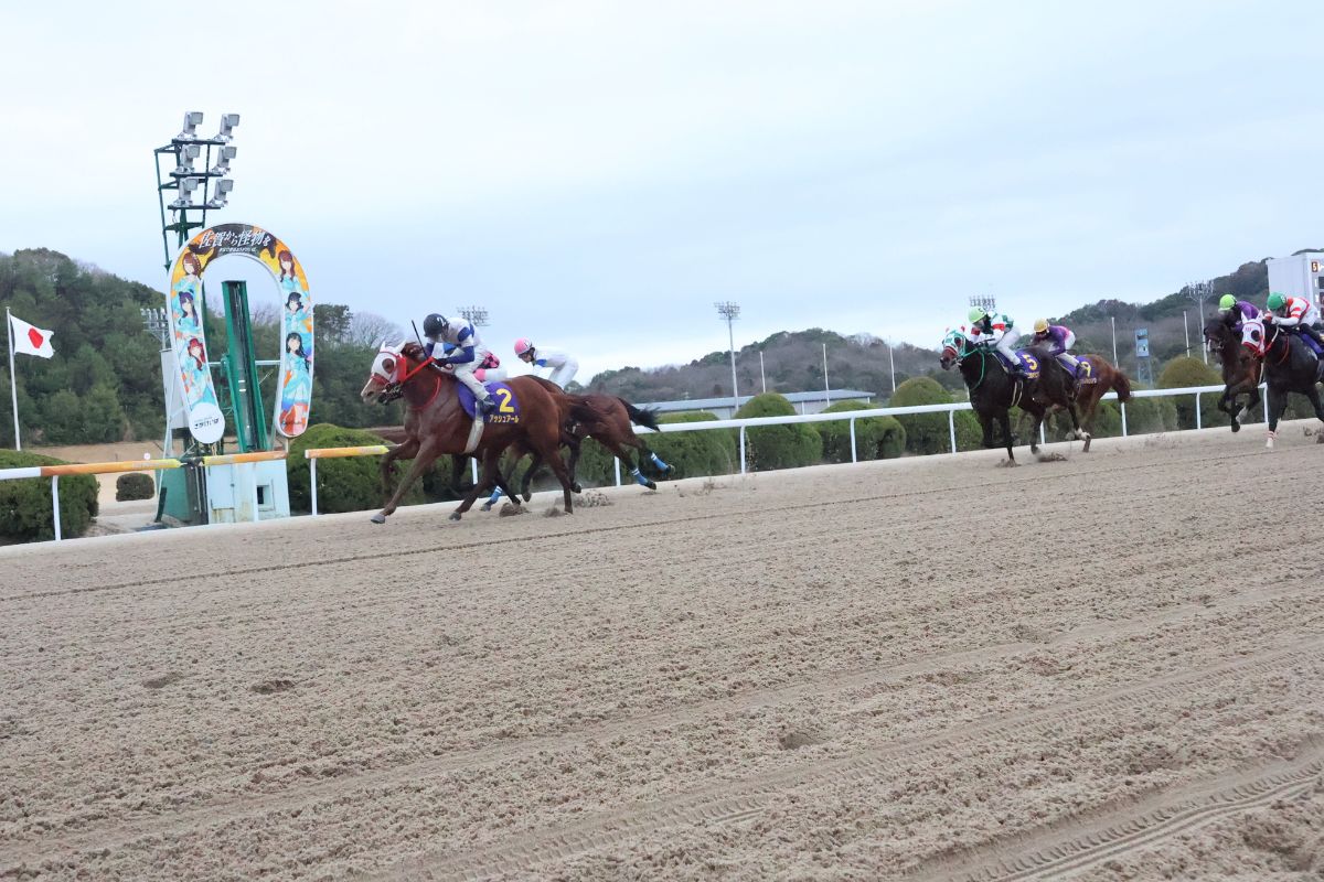 2026年たんぽぽ賞ゴール前