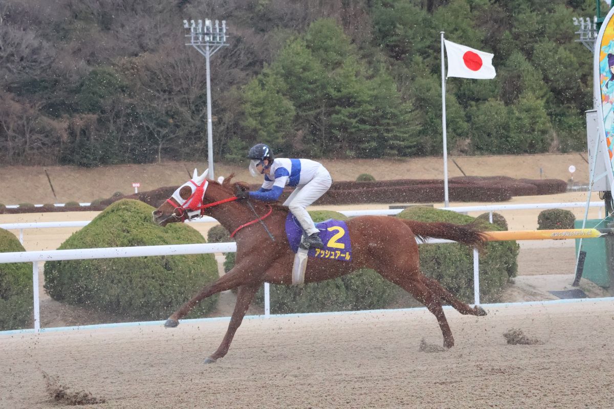 2026年たんぽぽ賞1周目のアッシュアール