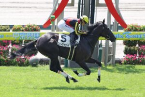 【チューリップ賞・全頭調教診断】S評価は1頭のみ！好調教はどの馬？全出走馬の仕上がりを徹底チェック