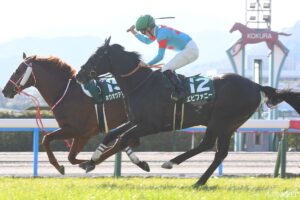 【小倉大賞典・全頭調教診断】S評価は2頭！本番で狙える馬は？全出走馬の仕上がりを徹底チェック