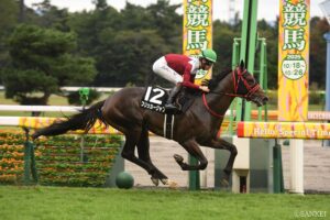 【北九州記念・前走レビュー】有力5頭を採点！前走内容を10点満点と評価できるのは…？