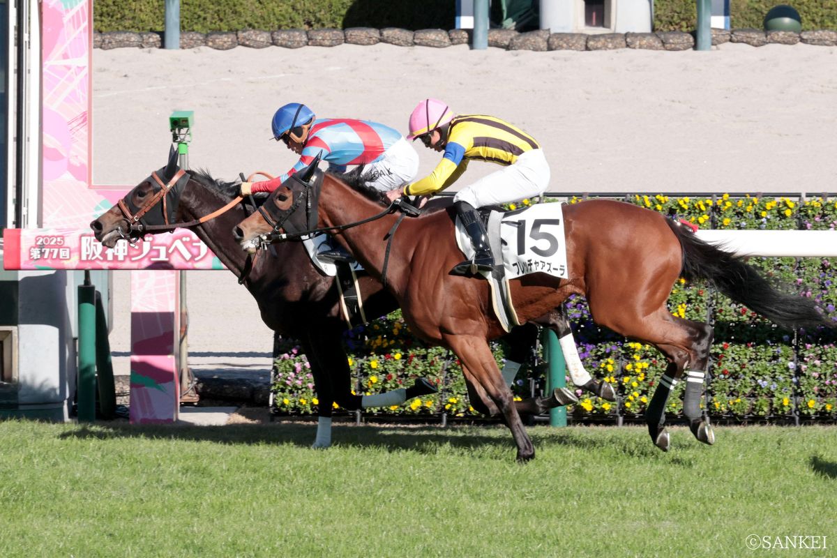 2025年12月6日2歳未勝利（阪神）/1着グランドオーパス