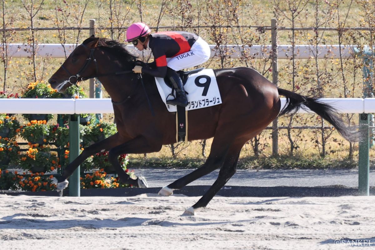 2024年12月7日(京都)2歳新馬を制した時のグランドプラージュ