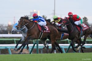 【ダイヤモンドS・能力分析】元トラックマンが実績×適性×騎手を数値化！ステイヤーズS組の評価は…？