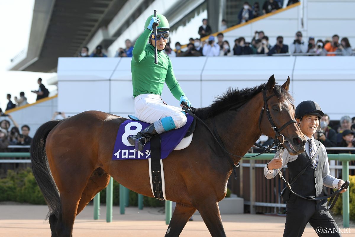 2024年中山グランドジャンプを制した時のイロゴトシ