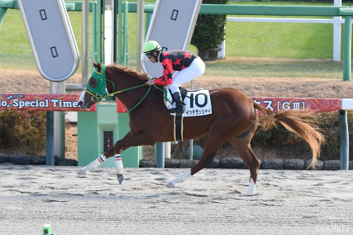 2025年12月13日/2歳未勝利（中山）/1着イッテラッシャイ
