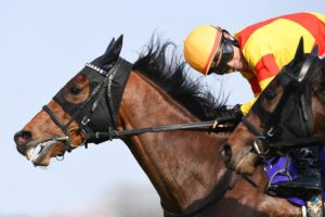 モテすぎ種牡馬の頂点は？2025年種付け頭数ランキング【第5位タイ】僅か4戦で引退したG1馬！初年度からモテモテのキズナ後継馬とは？