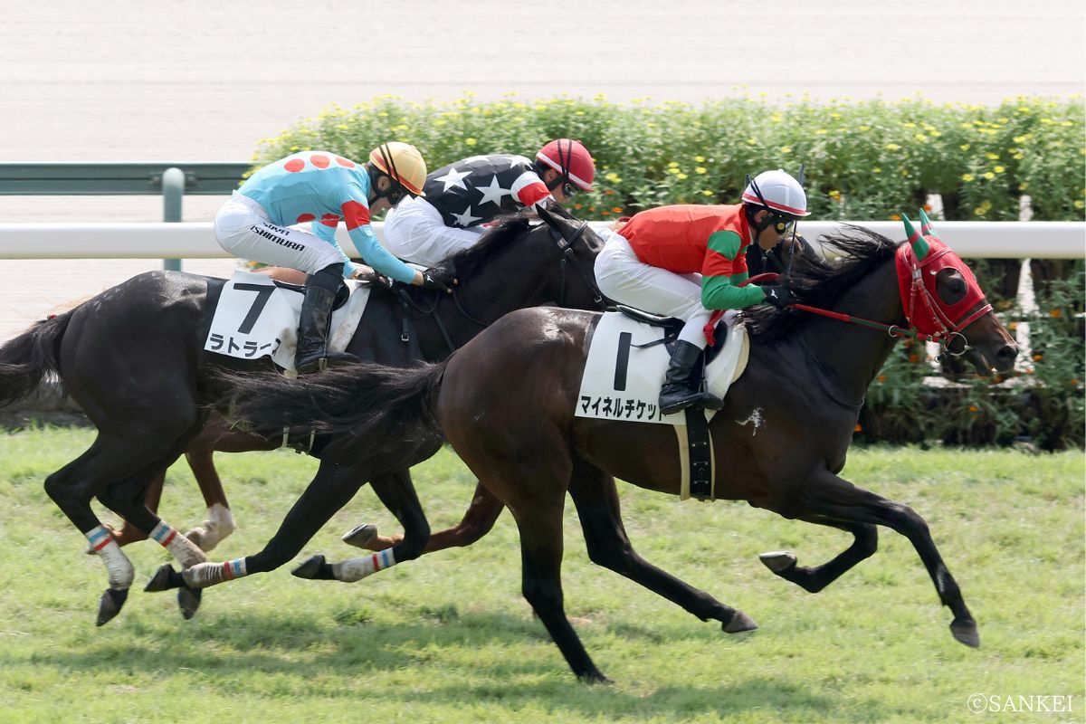 2024年9月8日2歳未勝利(中京)/1着マイネルチケット