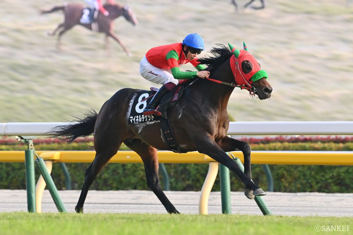 2025年奥多摩Sを制した時のマイネルチケット