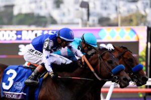 【フォーエバーヤングのライバルは誰だ！？】サウジカップに出走予定の外国馬を解説