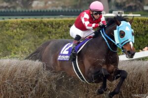 【障害戦の予想法】元トラックマン直伝！“障害未勝利”を攻略する3つのポイント