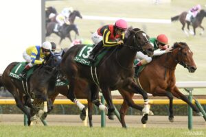 【登録馬】クイーンC