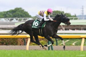 【毎日王冠2026・前走データ】3歳馬に追い風？ 過去10年で複勝率50％超の“狙い目ローテ”を検証