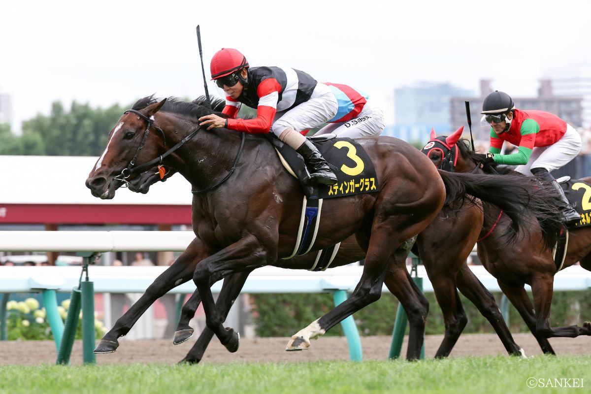 2025年札幌日経賞を制した時のスティンガーグラス