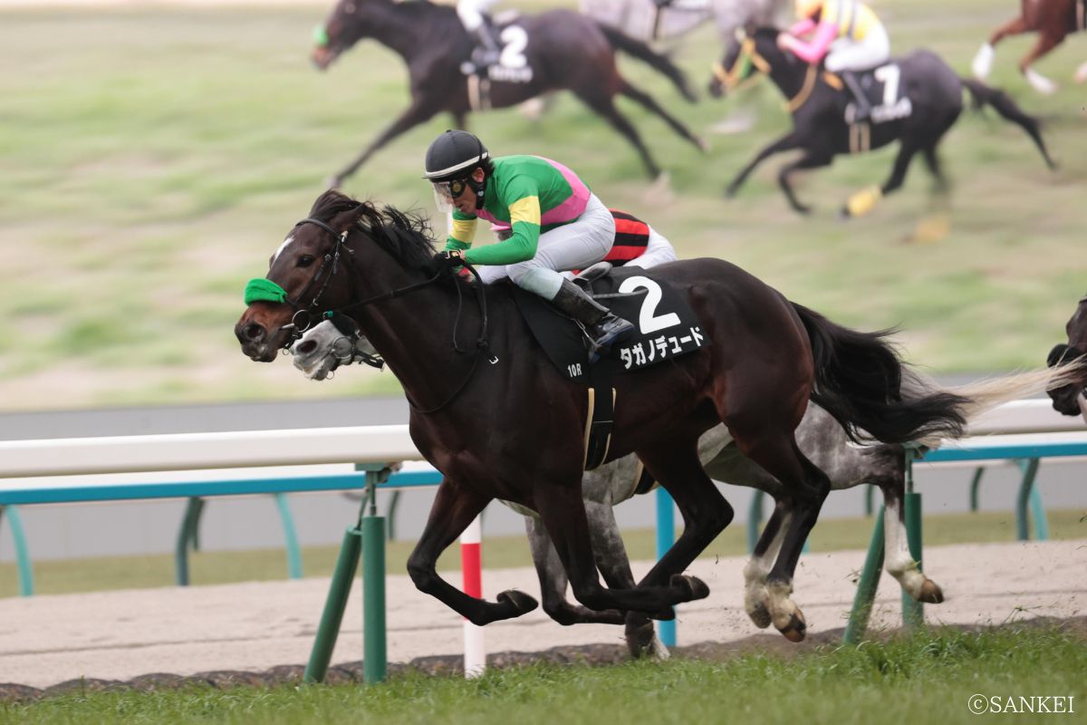 2026年寿Sを制した時のタガノデュード