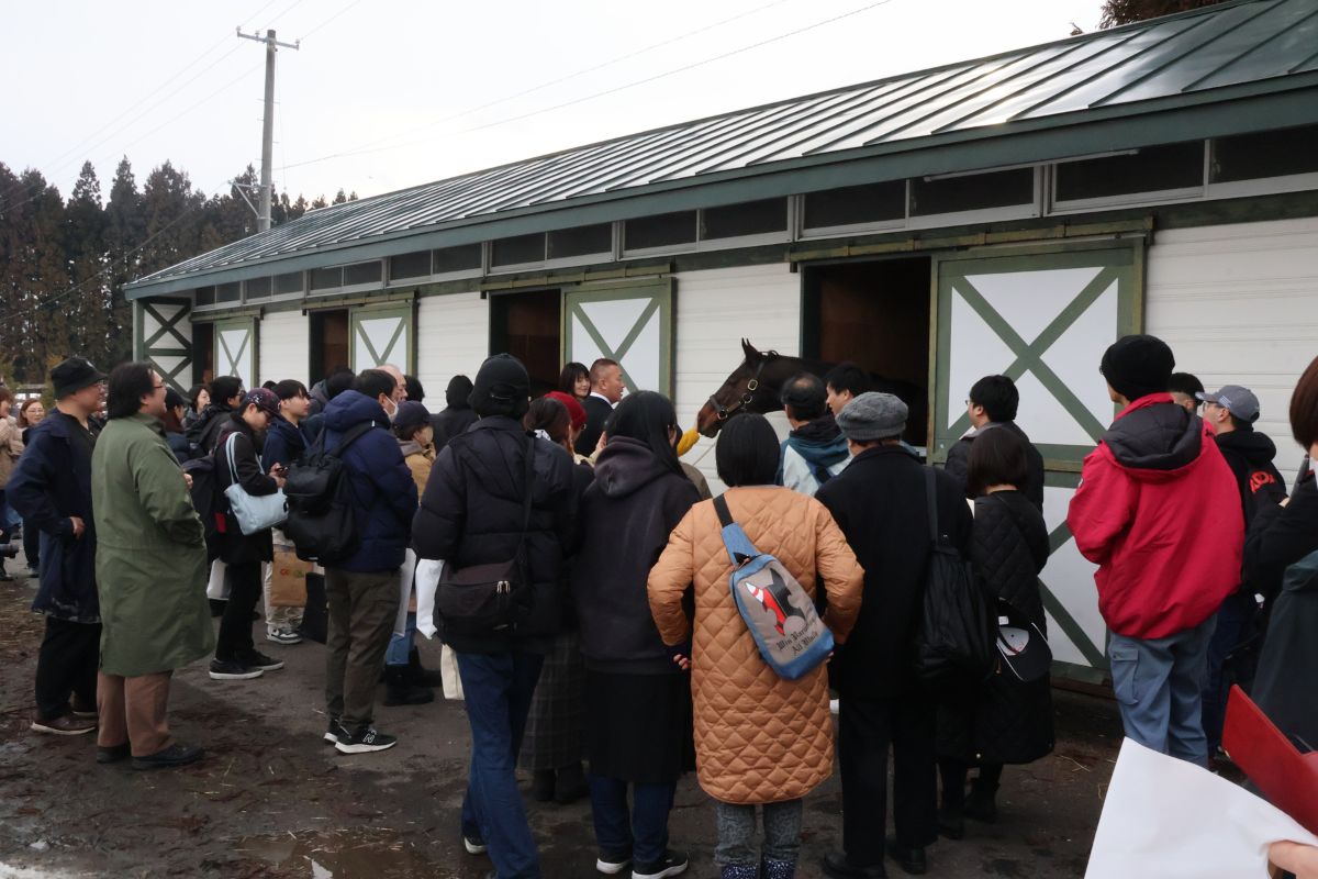 大人気のウインバリアシオン