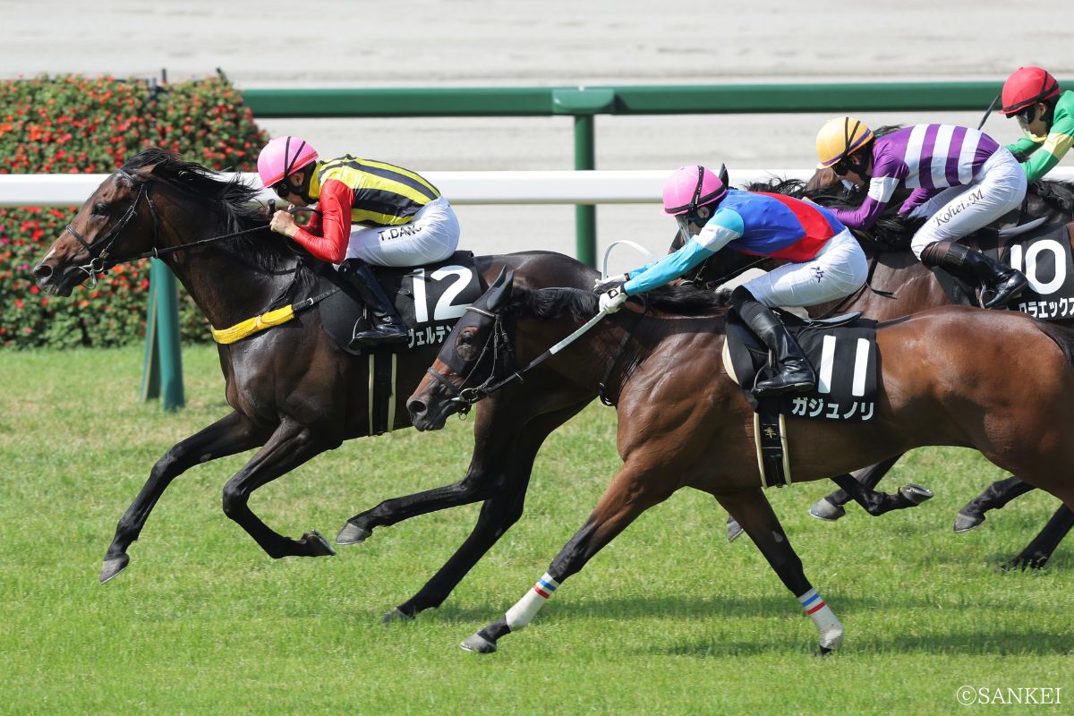 2025年ストークSを制したヴェルテンベルク(写真左)