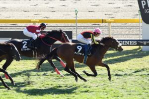 【阪急杯・全頭調教診断】S評価は3頭！本気のデキはどの馬？全馬を対象に仕上がりを徹底チェック