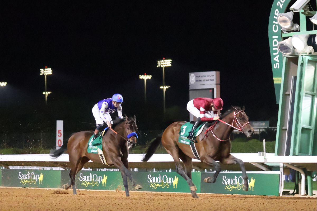 2026年サウジカップ_ゴール前