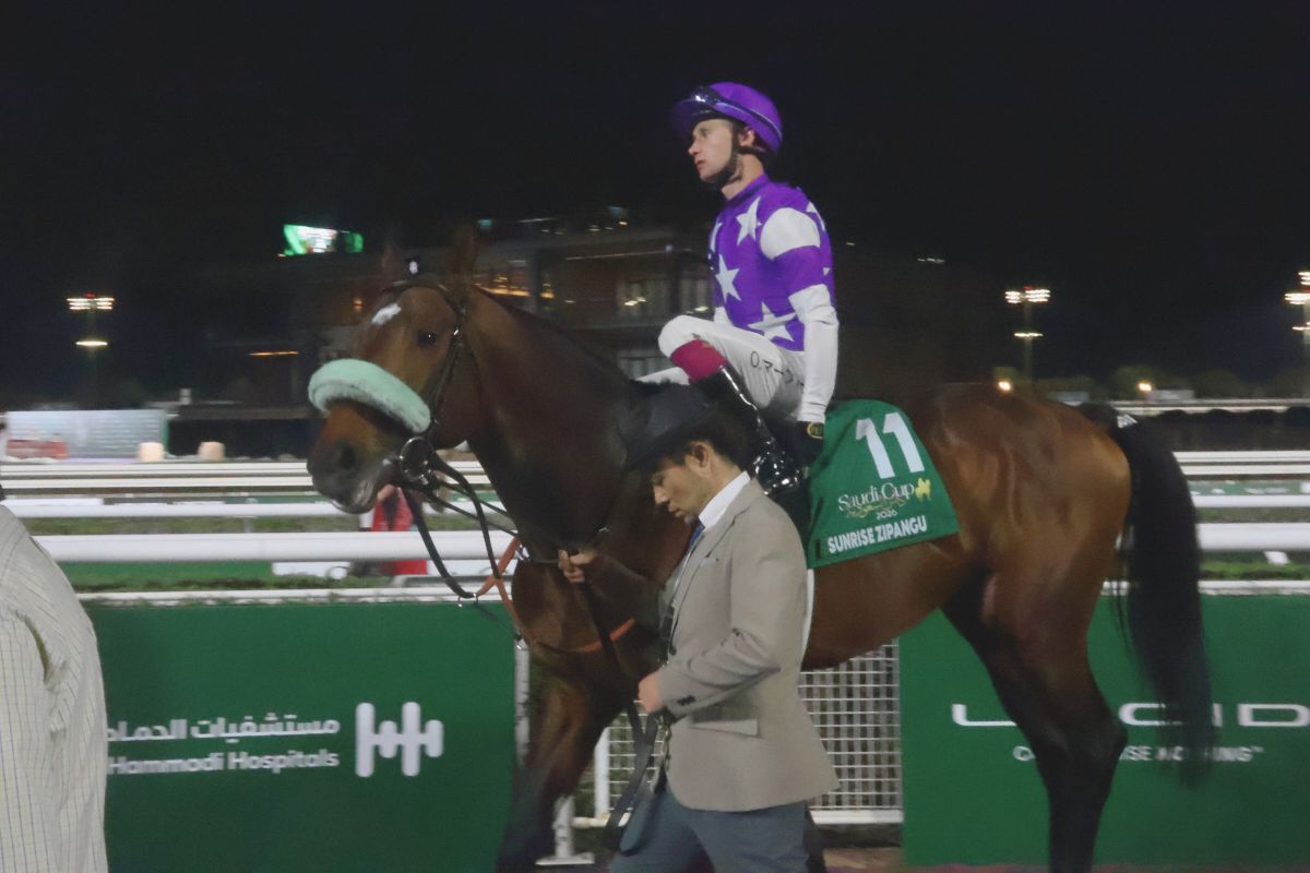 2026年サウジカップレース前_サンライズジパング