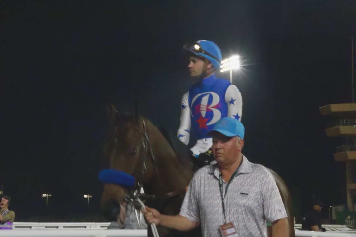 2026年サウジカップレース前_ナイソス