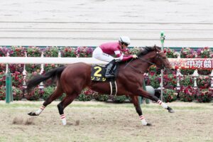 【阪急杯・能力分析】元トラックマンが実績×適性×騎手を数値化！最高点をとったのはどの馬？