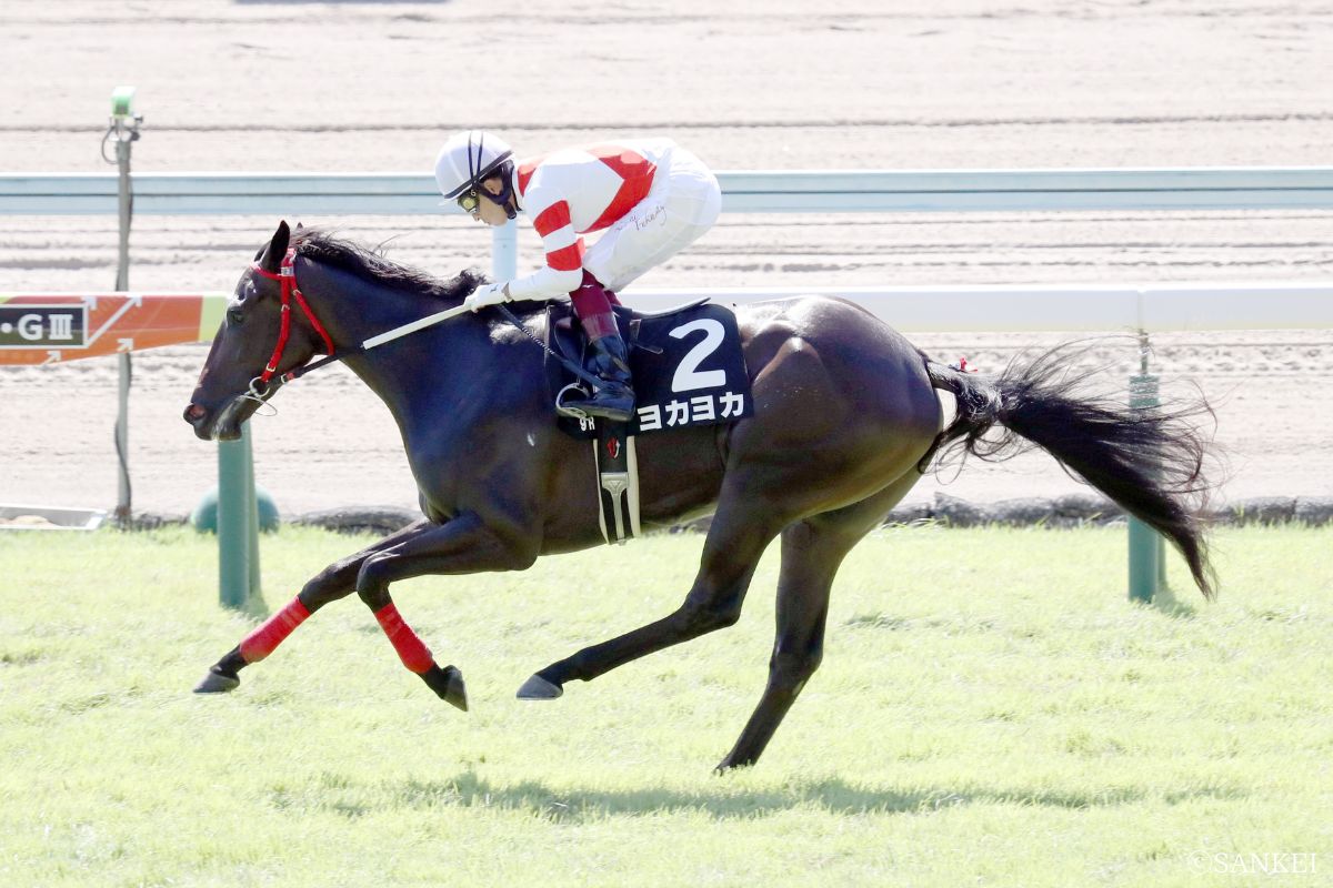 2020年ひまわり賞を制した時のヨカヨカ