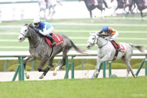 【阪神大賞典・勝利の本質】アドマイヤテラ完勝の理由は？天皇賞（春）の主役候補を徹底考察