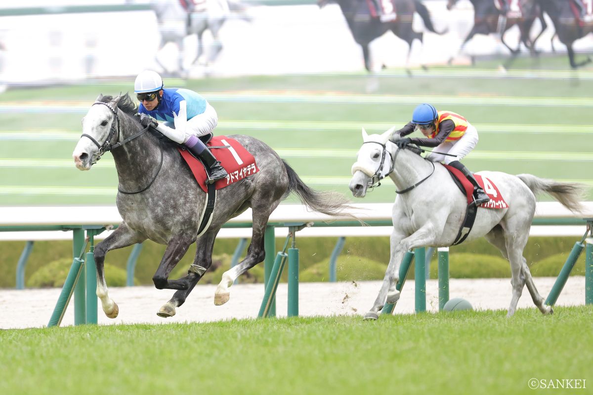 2026年阪神大賞典を制した時のアドマイヤテラ、2着アクアヴァーナル