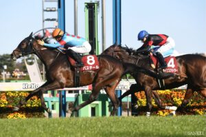 【弥生賞・敗戦の本質】皐月賞への重要なヒント！なぜ1番人気アドマイヤクワッズは敗れたのか？