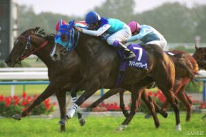 ベストイヤーはいつ？武豊の年度別獲得賞金ランキング【第5位】年間200勝超…アドマイヤグルーヴが主力