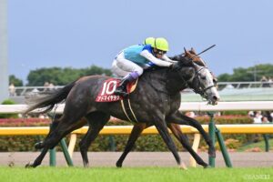 【阪神大賞典・能力分析】元トラックマンが実績×適性×騎手を数値化！アドマイヤテラは何点を叩き出した？