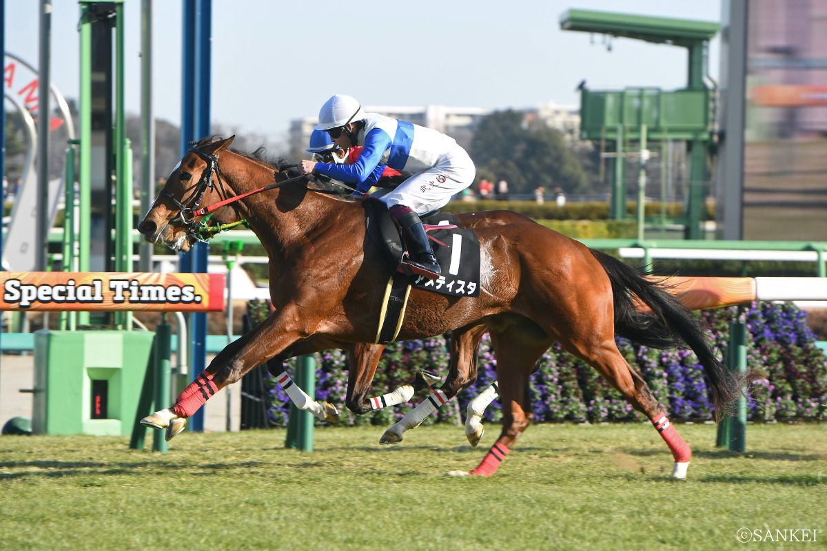 2026年菜の花賞を制した時のアメティスタ