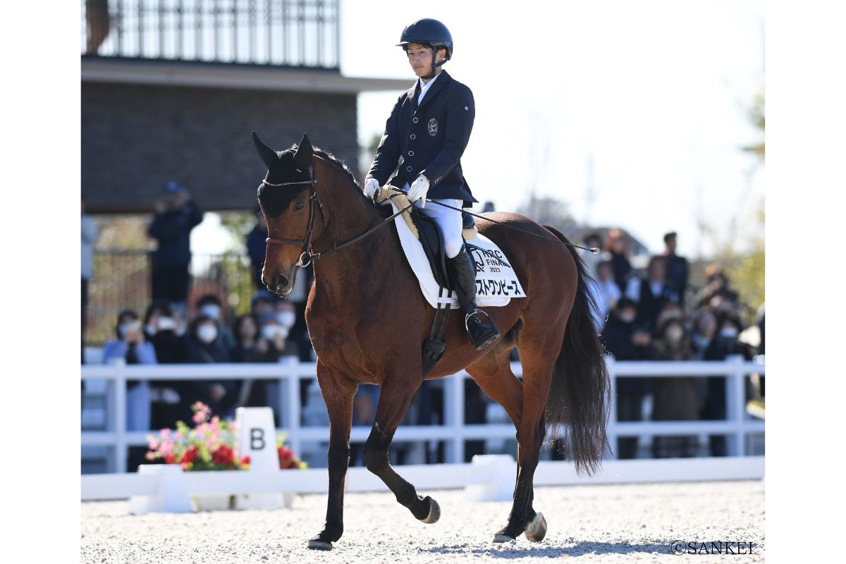 馬術用乗馬としてセカンドキャリアを歩むブラストワンピース