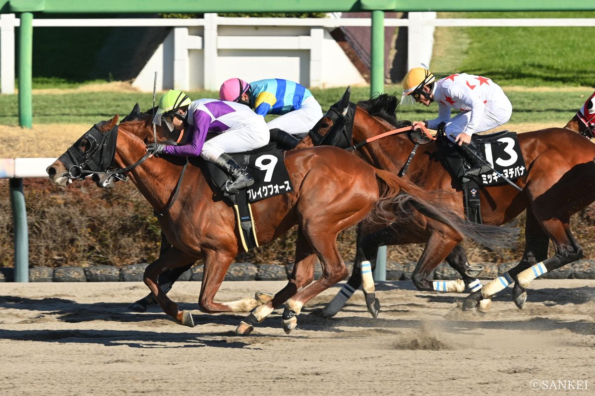 2026年総武Sを制した時のブレイクフォース