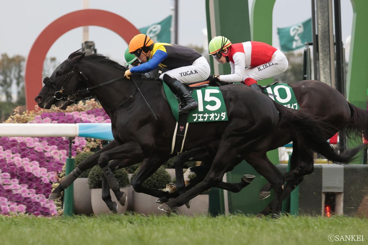 2026年京都金杯を制した時のブエナオンダ