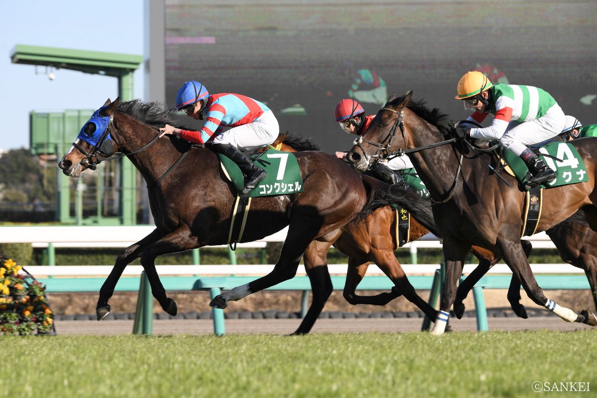 2024年中山牝馬Sを制した時のコンクシェル
