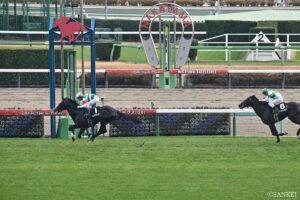 【GⅡスプリングS・全頭調教診断】無敗馬クレパスキュラーなど全頭解説！S評価を得たのは僅か2頭…