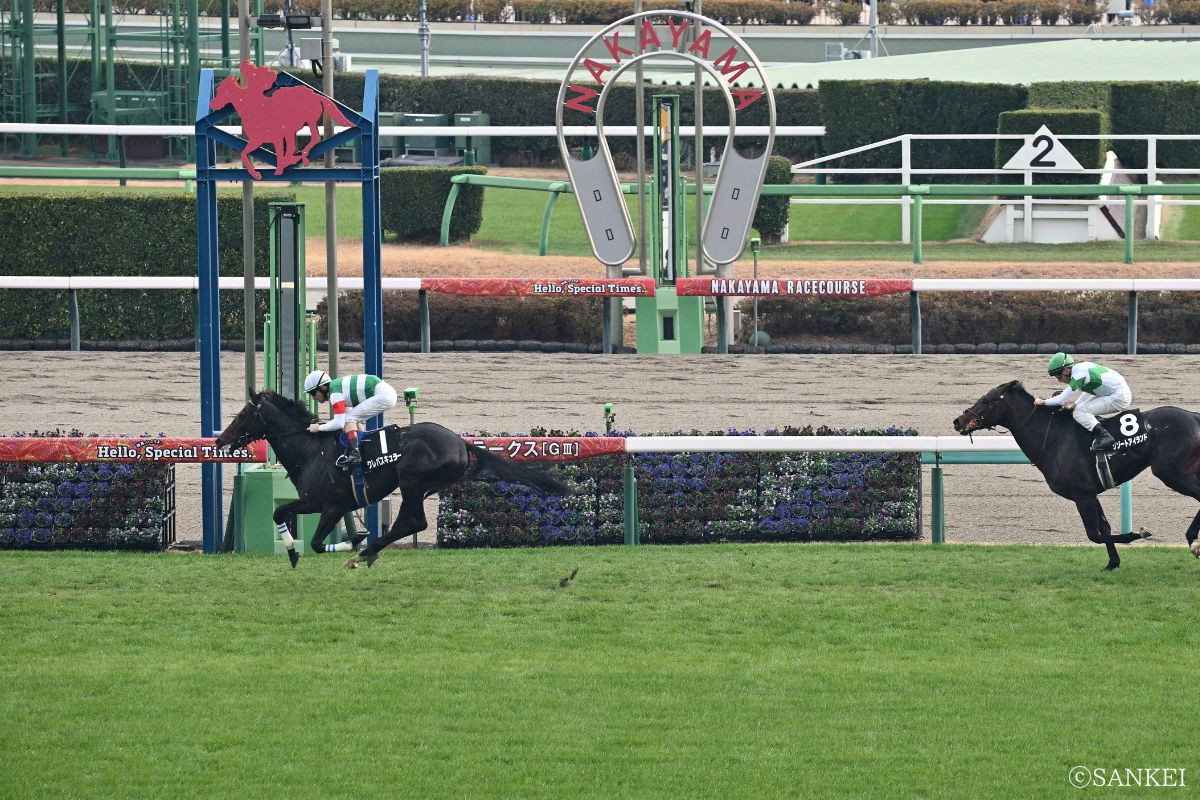 2025年ひいらぎ賞を制したクレパスキュラー